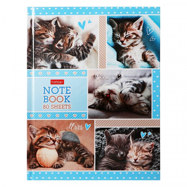 Бизнес-блокнот А5 твердая обложка 80 листов (Hatber) Пушистые мордочки 5-цветный блок арт.80ББ5В1_30259