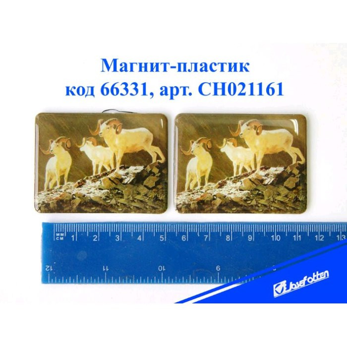 яяяМагнит СИМВОЛ ГОДА-пластик "Горные козлы" 4,5*6см асс. арт.CH021161 яяяМагнит СИМВОЛ ГОДА-пластик "Горные козлы" 4,5*6см асс. арт.CH021161