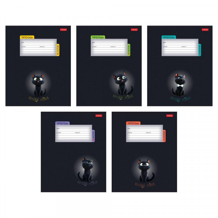 Тетрадь 18 листов клетка (Hatber) Котенок уголек ассорти арт 18Т5В1