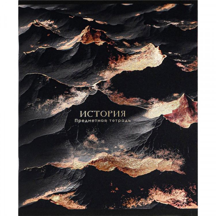 Тетрадь предметная 48 листов (Prof-Press) Black&Cold История холодная фольга софт-тач выборочный лак арт.48-2709