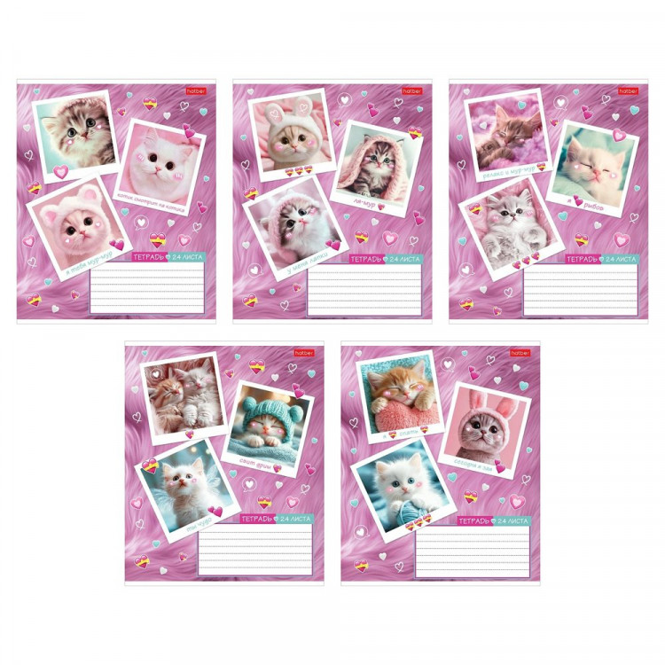 Тетрадь 24 листа клетка (Hatber) Мяу-статусы ассорти арт 24Т5В1