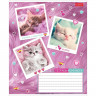 Тетрадь 24 листа клетка (Hatber) Мяу-статусы ассорти арт 24Т5В1
