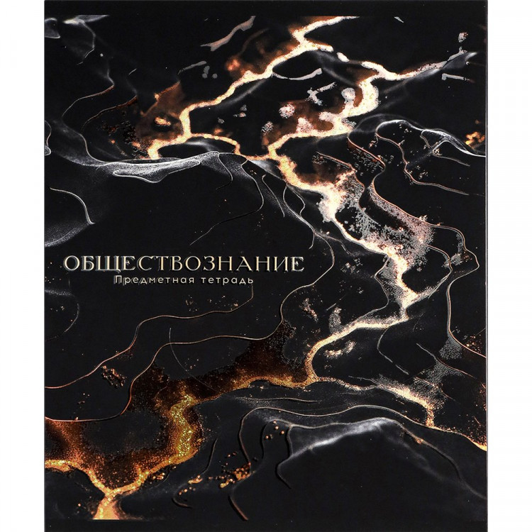 Тетрадь предметная 48 листов (Prof-Press) Black&Cold Обществознание холодная фольга софт-тач выборочный лак арт.48-2713