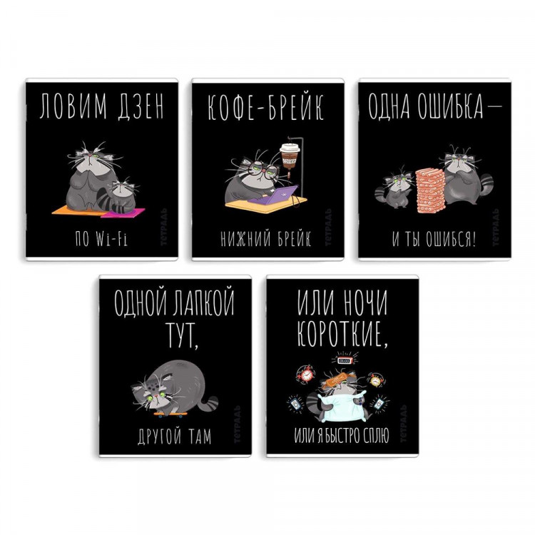 Тетрадь А5 клетка 48 листов скоба (Феникс) Серый кот выборочный твин-лак ассорти арт.68541