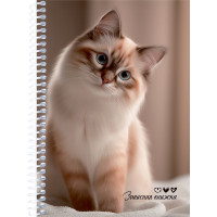 Записная книжка А5 мягкая обложка на спирали 80 листов (Prof-Press) Милые коты -7 арт.ЗК80-3013