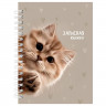 Записная книжка А6 твердая обложка на гребне 80 листов (Prof-Press) Забавный котик-3 глянцевая ламинация арт.80-9512 Записная книжка А6 твердая обложка на гребне 80 листов (Prof-Press) Забавный котик-3 глянцевая ламинация арт.80-9512