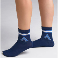 Носки детские для мальчика арт.С1415 р.20-24 80% хлопок, 18% полиамид, 2% эластан цвет синий (Clever)