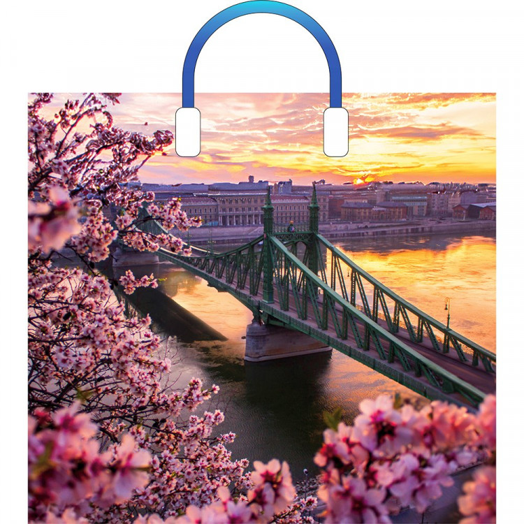 Пакет ПВД с пластиковыми ручками 38*34+3 90мкм Дунай