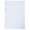 Сменный блок для тетрадей А5 120 листов (Hatber) белый клетка арт 120СБ5В1_02449