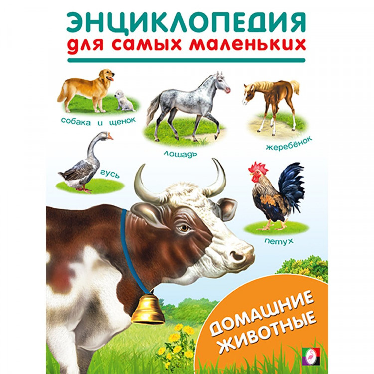 Энциклопедия для самых маленьких А5 Домашние животные (Фламинго) арт.31886