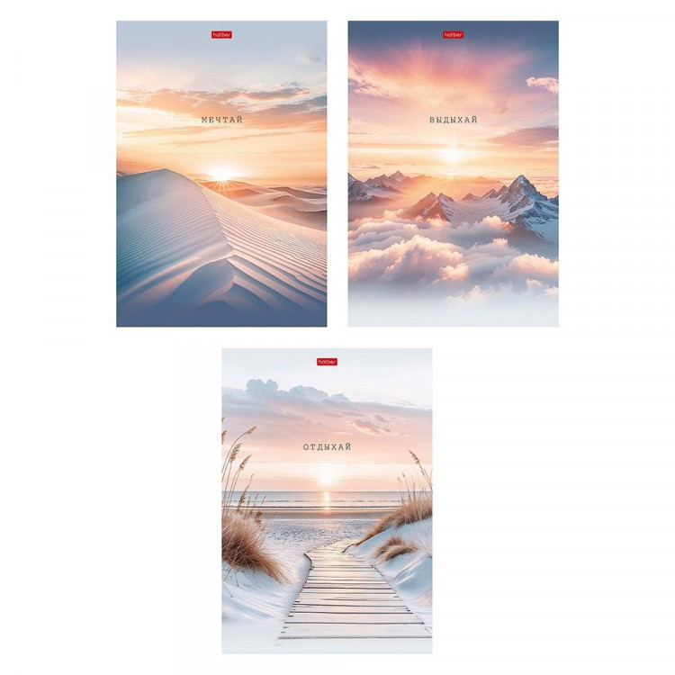 Тетрадь А4 клетка 48 листов скоба (Hatber) В моменте матовая ламинация ассорти арт.48Т4лВ1 Тетрадь А4 клетка 48 листов скоба (Hatber) В моменте матовая ламинация ассорти арт.48Т4лВ1