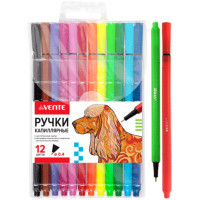 Набор ручек капиллярных 12 цветов (deVENTE) в пластиковом блистере арт.5060903