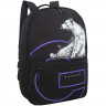 Рюкзак для мальчиков (Grizzly) арт.арт.RQL-614-1/3 черный - фиолетовый 30х43х14 см Рюкзак для мальчиков (Grizzly) арт.арт.RQL-614-1/3 черный - фиолетовый 30х43х14 см