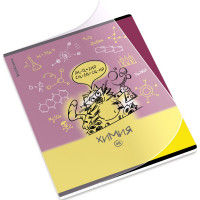 Тетрадь предметная 48 листов (ErichKrause) Котоформулы Химия пластиковая обложка арт.59509