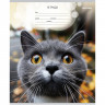 Тетрадь 12 листов линия (Prof-Press) Мордочки котиков цветная мелованная обложка ассорти арт.Т12-4877