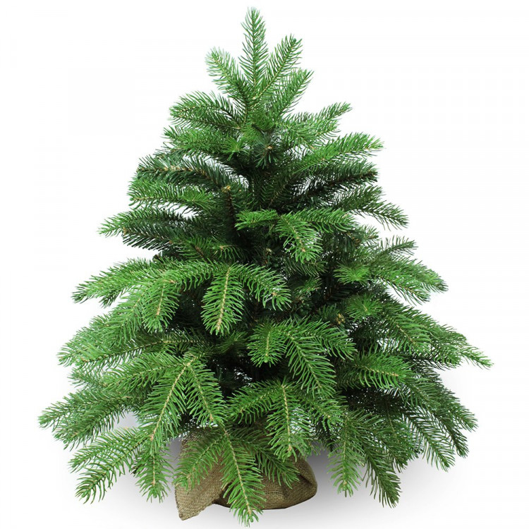 Елка настольная 60см (хвоя литая+ПВХ, ветки примотка, подставка пенёк+мешковина) "Anson" арт.1031906