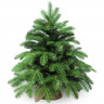 Елка настольная 60см (хвоя литая+ПВХ, ветки примотка, подставка пенёк+мешковина) 