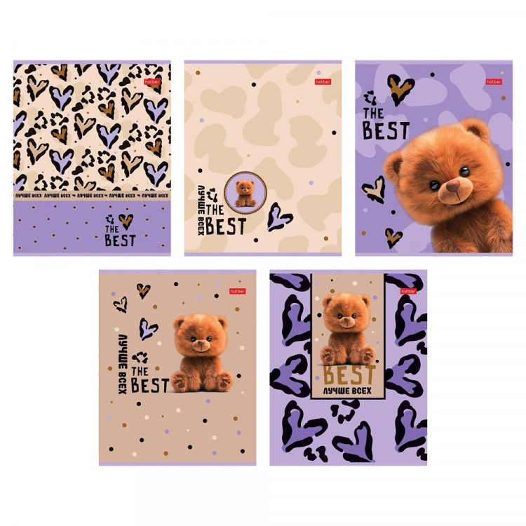 Тетрадь 24 листа клетка (Hatber) Пушистый мишка ассорти арт 24Т5В1 Тетрадь 24 листа клетка (Hatber) Пушистый мишка ассорти арт 24Т5В1