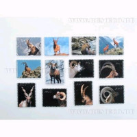 яяяМагнит СИМВОЛ ГОДА "Овечка" 8см арт.671241