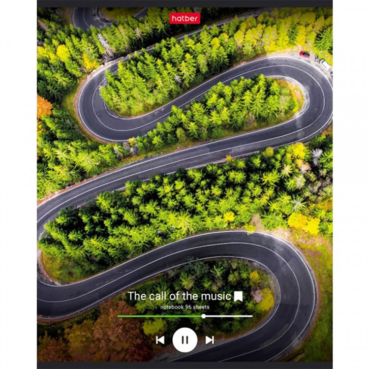 Тетрадь А5 клетка 96 листов скоба (Hatber) Музыка зовет ассорти арт.96Т5В1