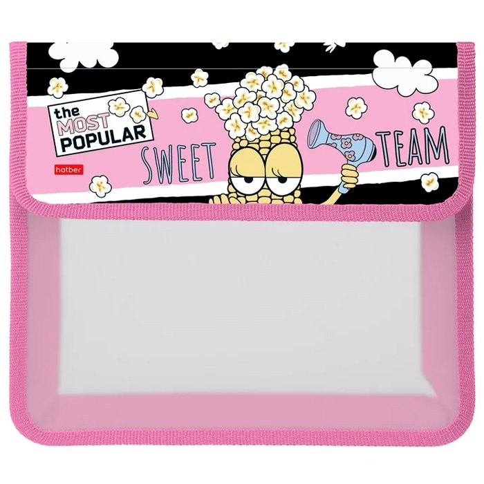 Папка школьная для тетрадей А5 на липучке 2 отделения (Hatber) Модная кукуруза арт. AMp_28085