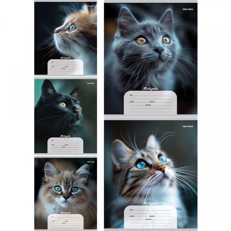 Тетрадь 12 листов косая линия с дополнительной горизонтальной (Profit) Портретные фото котов ассорти арт.12-4273