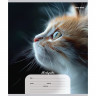 Тетрадь 12 листов косая линия с дополнительной горизонтальной (Profit) Портретные фото котов ассорти арт.12-4273