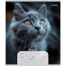Тетрадь 12 листов косая линия с дополнительной горизонтальной (Profit) Портретные фото котов ассорти арт.12-4273