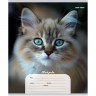 Тетрадь 12 листов косая линия с дополнительной горизонтальной (Profit) Портретные фото котов ассорти арт.12-4273