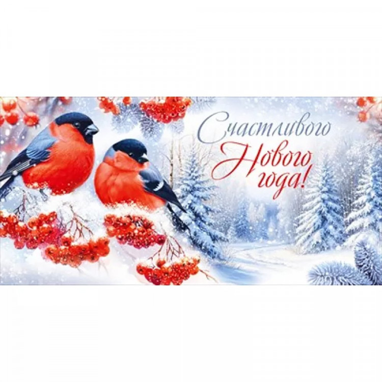 Конверт для денег "Счастливого Нового года! Снегири" арт.30001291