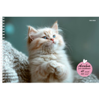 Альбом для рисования 48 листов спираль (Prof-Press) Маленький забавный кот арт.48-3946