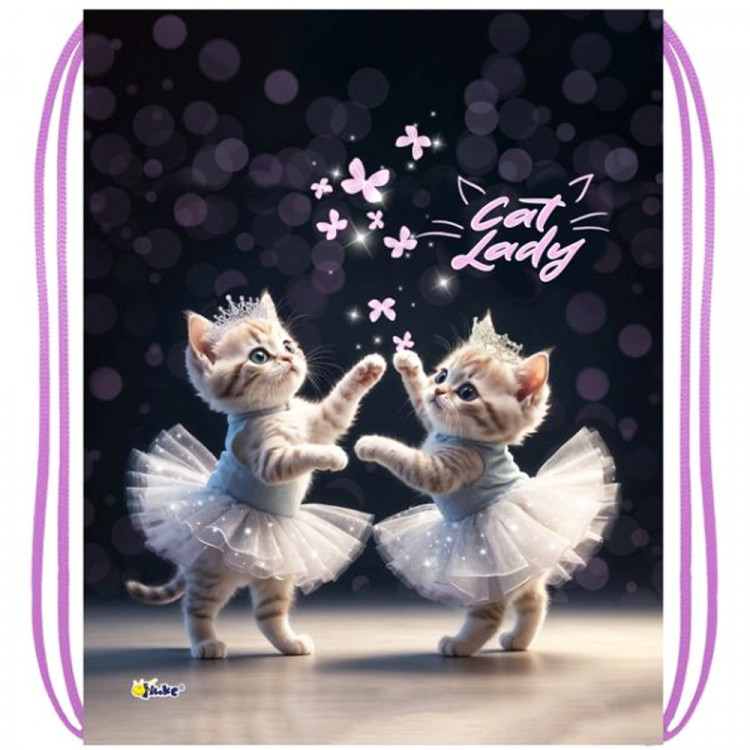 Сумка для сменной обуви 1 отделение (ОНИКС) МО-26-1 Cat ballet 370х470 мм арт.86609 Сумка для сменной обуви 1 отделение (ОНИКС) МО-26-1 Cat ballet 370х470 мм арт.86609