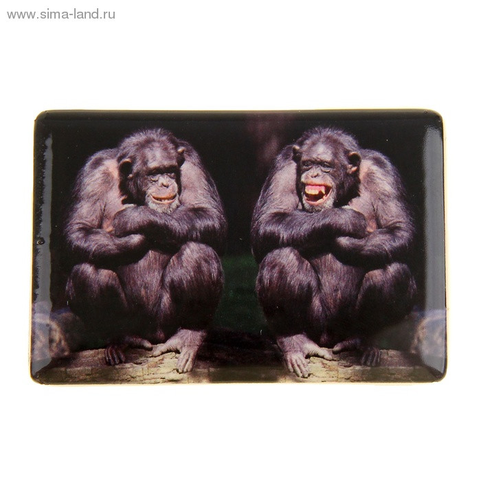 юМагнит СИМВОЛ ГОДА "Обезьянки тет-а-тет" 7,5см арт.1057293