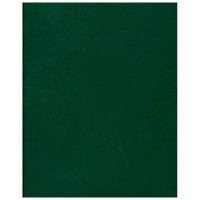 Тетрадь А4 клетка 96 листов бумвинил скоба второй блок (BG) зеленый арт.Т4бв96кЭ_12343