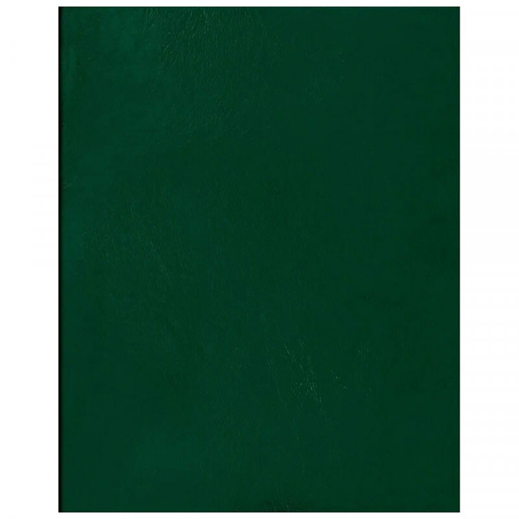 Тетрадь А4 клетка 96 листов бумвинил скоба второй блок (BG) зеленый арт.Т4бв96кЭ_12343