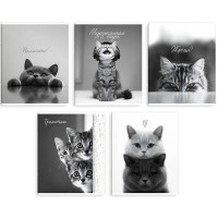 Тетрадь А5 клетка 48 листов скоба (Феникс) Монохромные коты выборочный твин-лак ассорти арт.70920