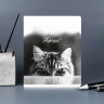 Тетрадь А5 клетка 48 листов скоба (Феникс) Монохромные коты выборочный твин-лак ассорти арт.70920