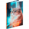 Записная книжка А6 твердая обложка 48 листов (Prof-Press) Фото котика-1 глянцевая ламинация арт.48-9197