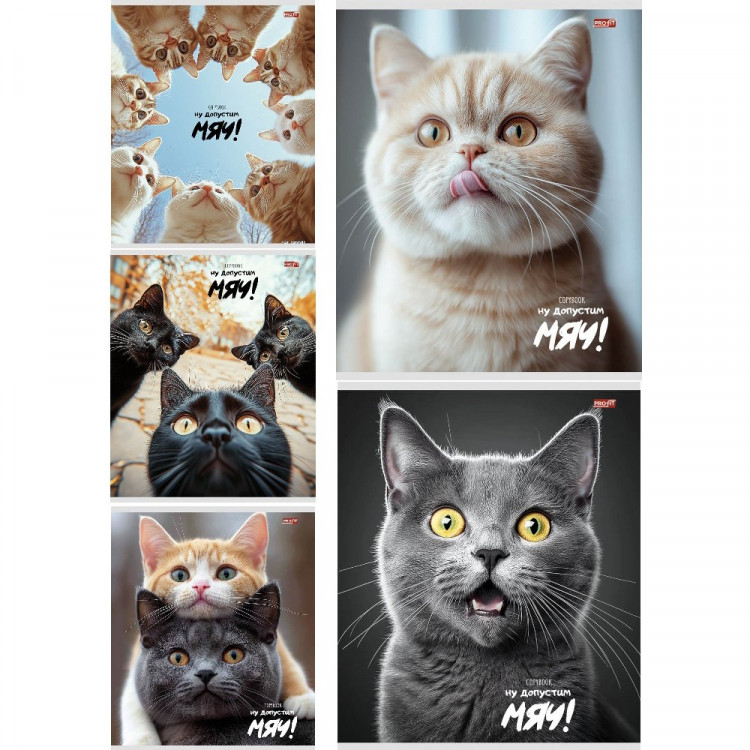 Тетрадь А5 клетка 48 листов скоба (Profit) Забавные коты мелованная обложка ассорти арт.48-9071 Тетрадь А5 клетка 48 листов скоба (Profit) Забавные коты мелованная обложка ассорти арт.48-9071