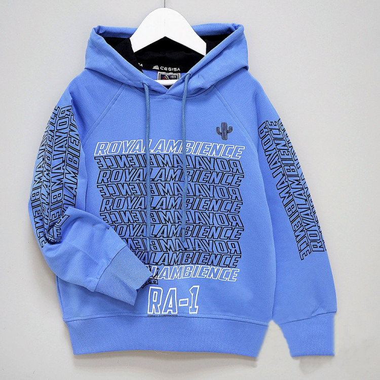 Толстовка для мальчика (CEGISA) артикул 51291 размерный ряд 30/116-34/134 цвет голубой Толстовка для мальчика (CEGISA) артикул 51291 размерный ряд 30/116-34/134 цвет голубой