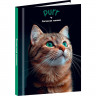 Записная книжка А7 твердая обложка 48 листов (Prof-Press) Зеленоглазый котик-1 глянцевая ламинация арт.48-8633 Записная книжка А7 твердая обложка 48 листов (Prof-Press) Зеленоглазый котик-1 глянцевая ламинация арт.48-8633