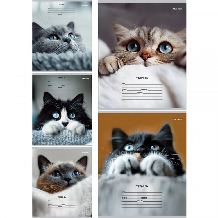 Тетрадь 12 листов косая линия с дополнительной горизонтальной (Prof-Press) Кошачьи мордочки ассорти арт.12-4460 Тетрадь 12 листов косая линия с дополнительной горизонтальной (Prof-Press) Кошачьи мордочки ассорти арт.12-4460