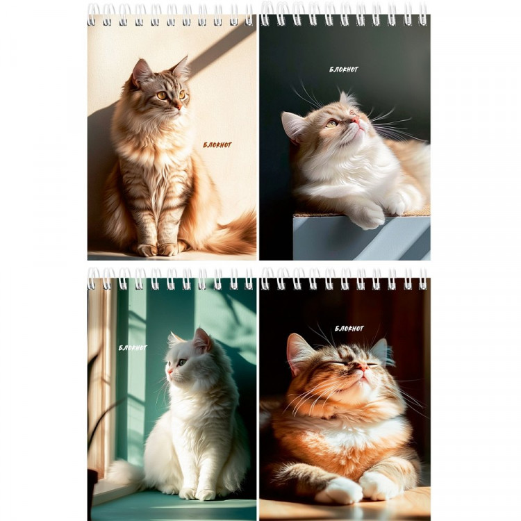 Блокнот А6 мягкая обложка на гребне 40 листов (Prof-Press) Солнечные котики ассорти арт.Б40-7019