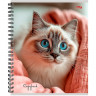 Тетрадь А5 клетка 80 листов на гребне (Profit) Уютные котики мелов. обл. асс. арт.80-8926 Тетрадь А5 клетка 80 листов на гребне (Profit) Уютные котики мелов. обл. асс. арт.80-8926