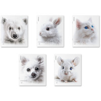 Тетрадь А5 клетка 48 листов скоба (ErichKrause) Whiteout soft-touch ламинация выборочный УФ-лак ассорти арт.63313