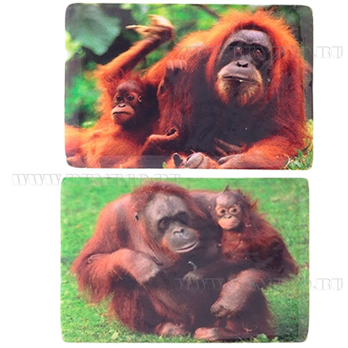 юМагнит СИМВОЛ ГОДА "Обезьяна" 7,5см асс. арт.663993 юМагнит СИМВОЛ ГОДА "Обезьяна" 7,5см асс. арт.663993