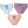 Трусы для девочки арт.4181B13  цвет в ассортименте 100% хлопок
