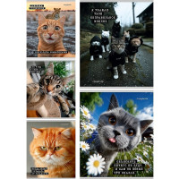 Тетрадь А5 клетка 48 листов скоба (Prof-Press) Коты мемы мелованная обложка ассорти  арт.Т48-9122
