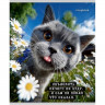 Тетрадь А5 клетка 48 листов скоба (Prof-Press) Коты мемы мелованная обложка ассорти  арт.Т48-9122