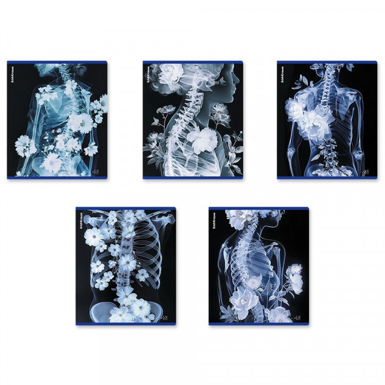 Тетрадь А5 клетка 48 листов скоба (ErichKrause) Flower Ray металлизированный голографический картон ассорти арт.63314 Тетрадь А5 клетка 48 листов скоба (ErichKrause) Flower Ray металлизированный голографический картон ассорти арт.63314